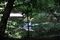Waldkunst 2010