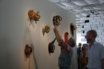 foto documenta xii / 12