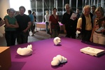 foto documenta xii / 12
