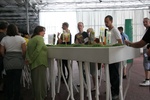 foto documenta xii / 12