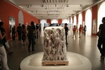 foto documenta xii / 12