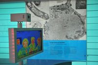 Expedition Zukunft - Science Express in Darmstadt