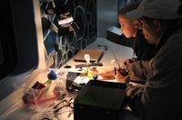 Expedition Zukunft - Science Express in Darmstadt