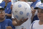 sv darmstadt 98